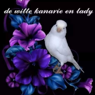 Witte kanarie en Lady Paulien
